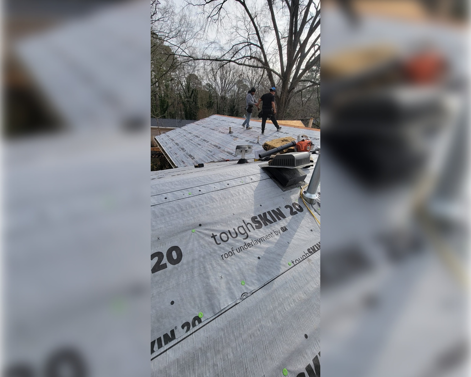 Roof Project